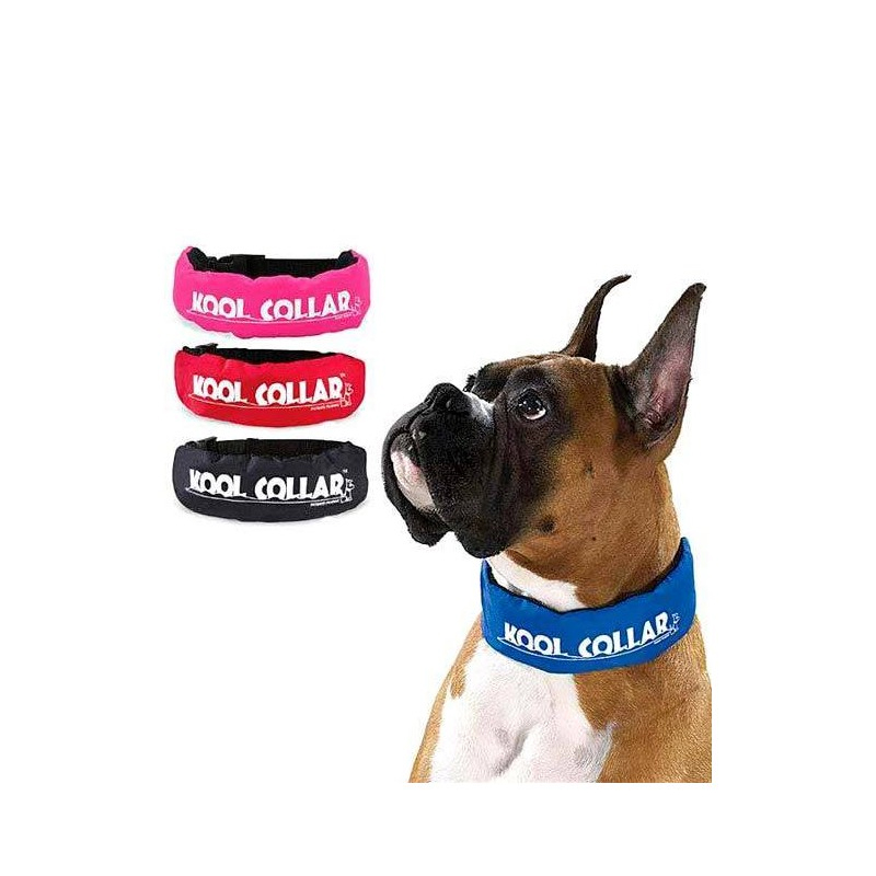 kool collars